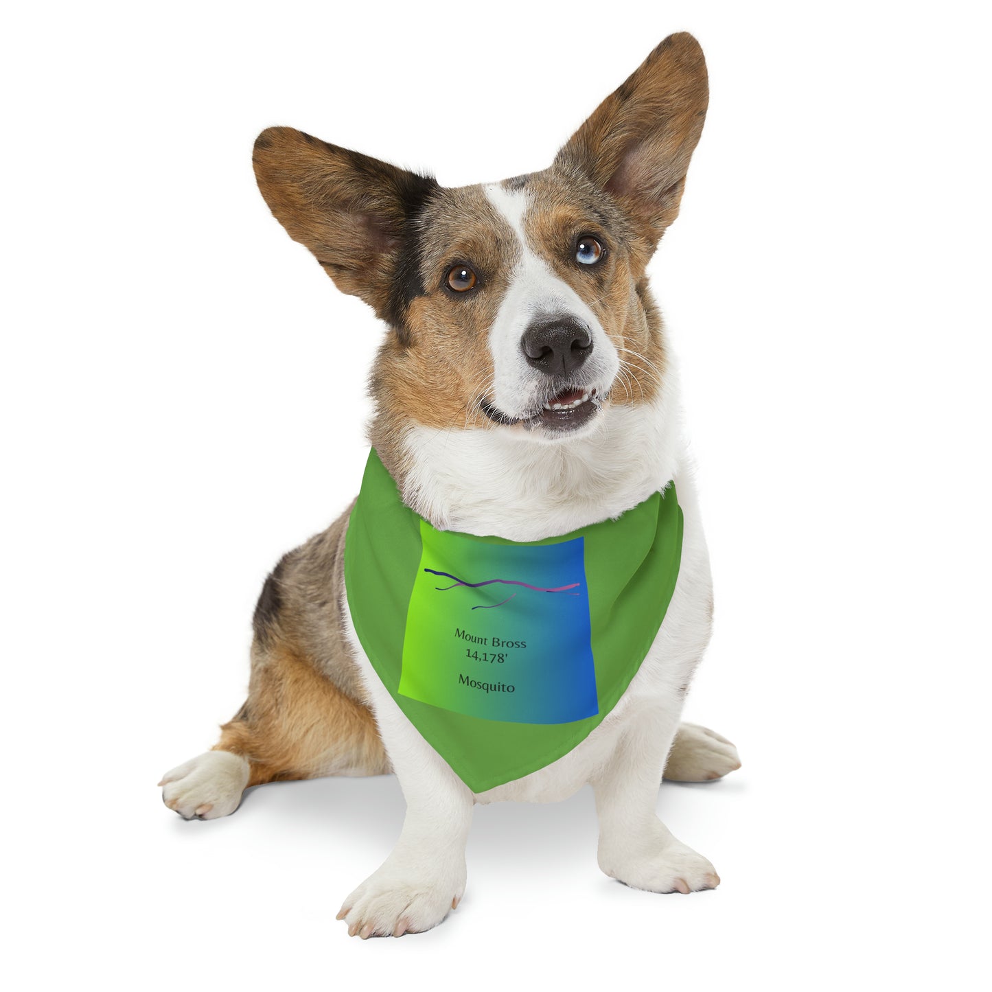 Mount Bross 14er Pet Bandana Collar