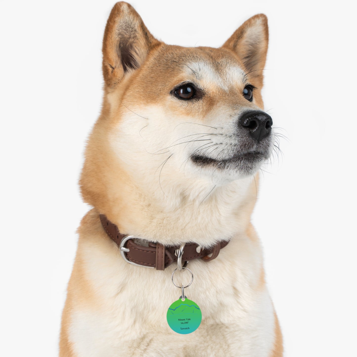 Mount Yale Pet Tag