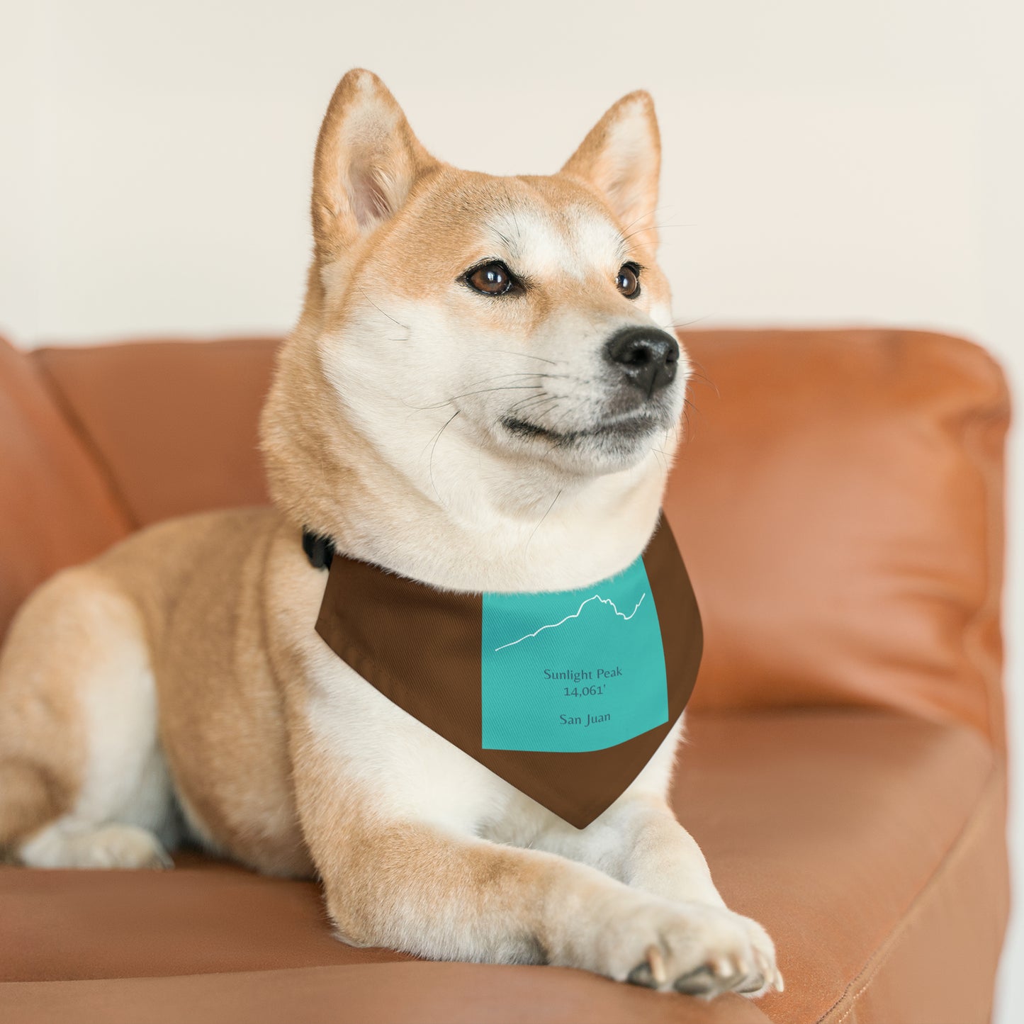 Sunlight Peak 14er Pet Bandana Collar