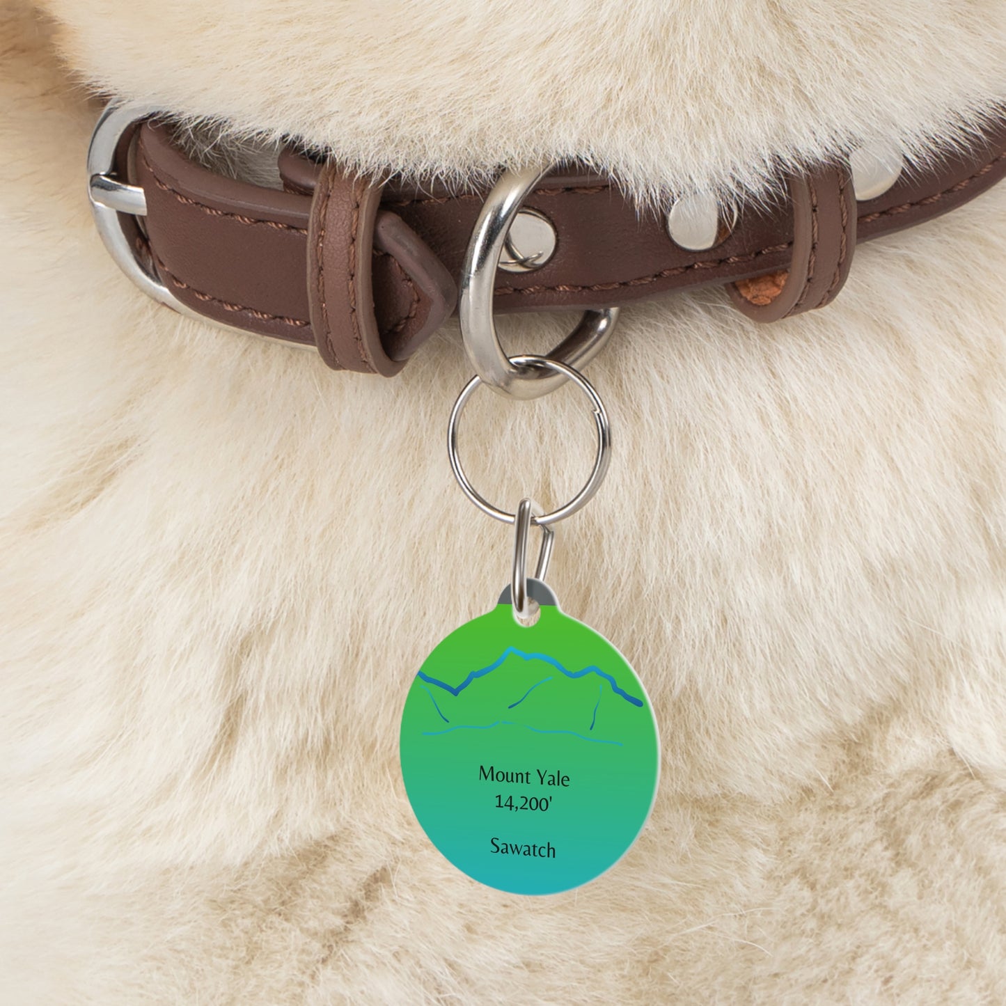 Mount Yale Pet Tag