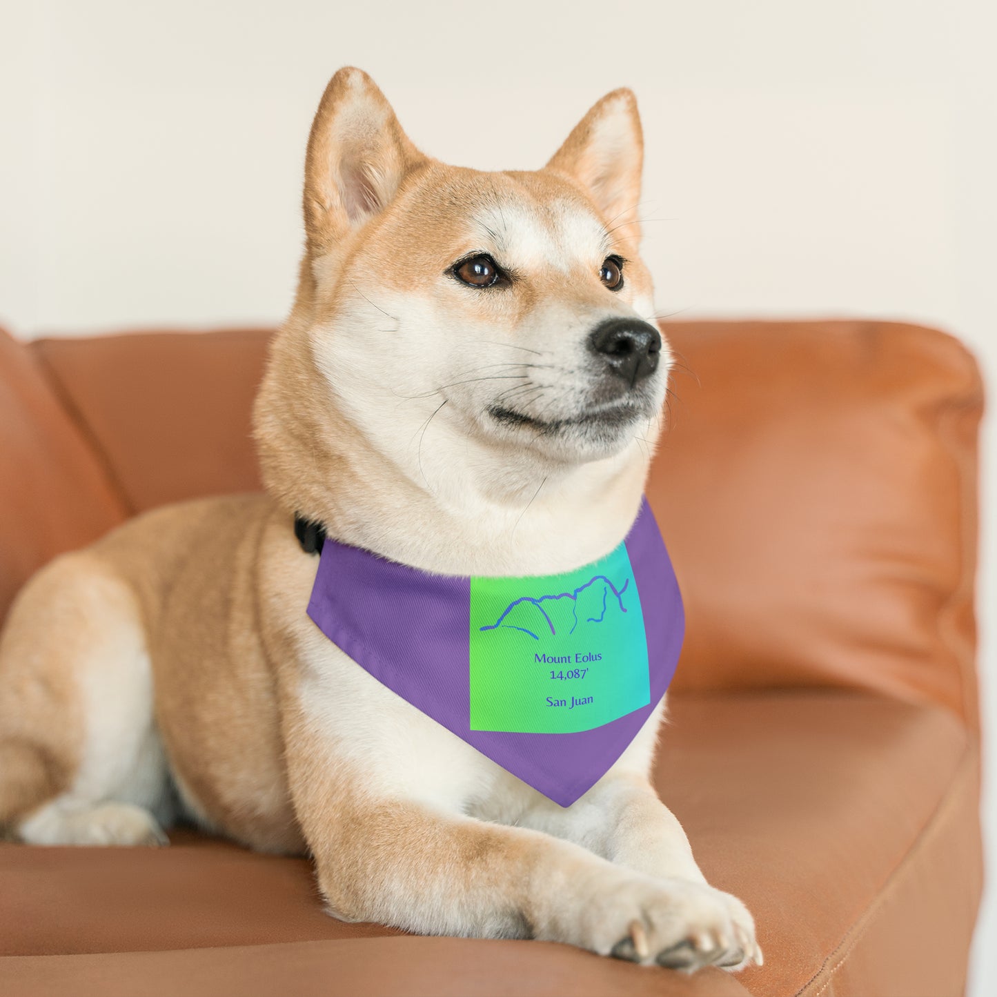 Mount Eolus 14er Pet Bandana Collar