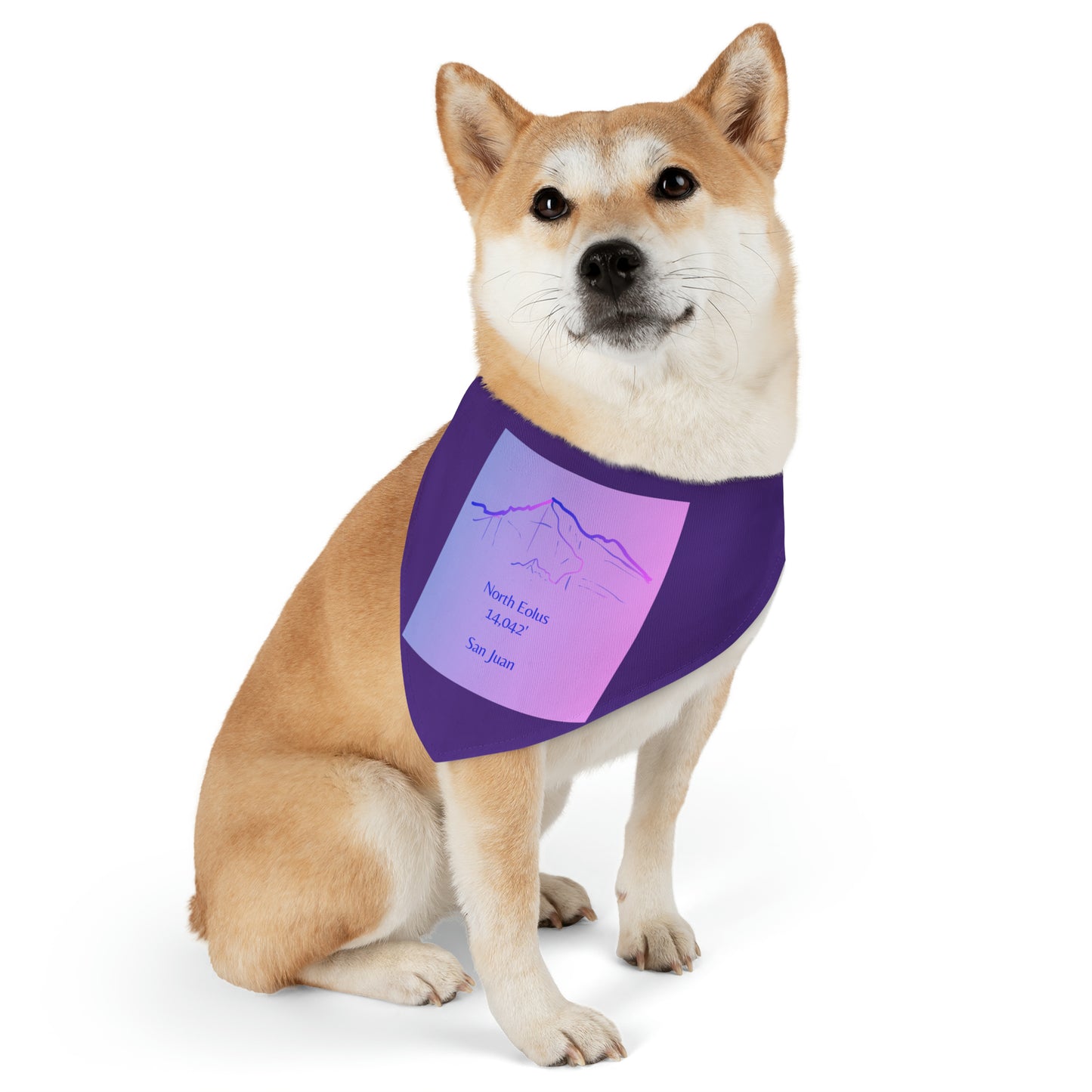 North Eolus 14er Pet Bandana Collar