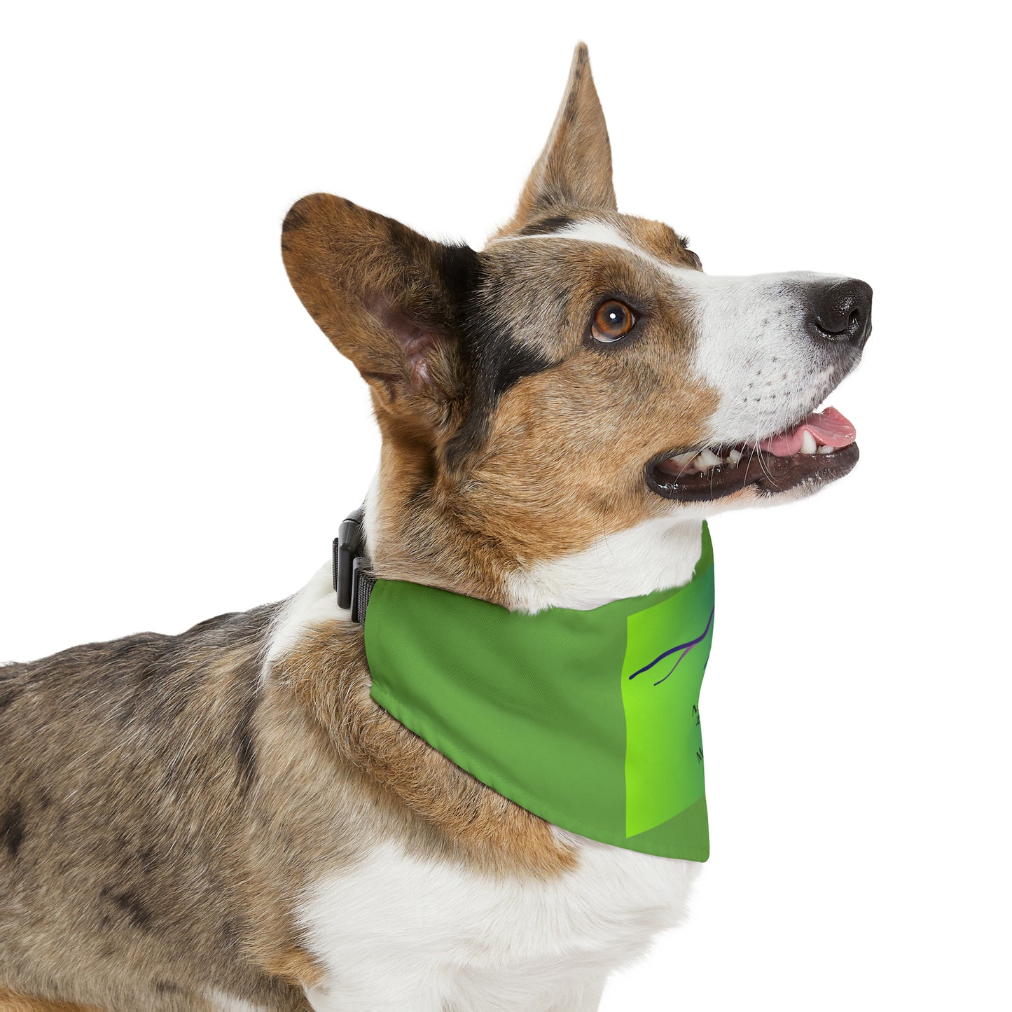 Mount Bross 14er Pet Bandana Collar