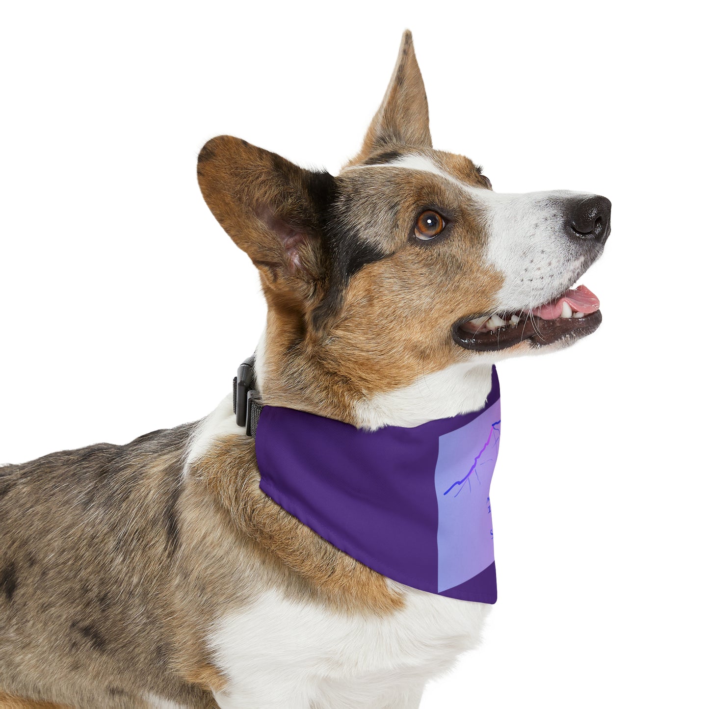 North Eolus 14er Pet Bandana Collar