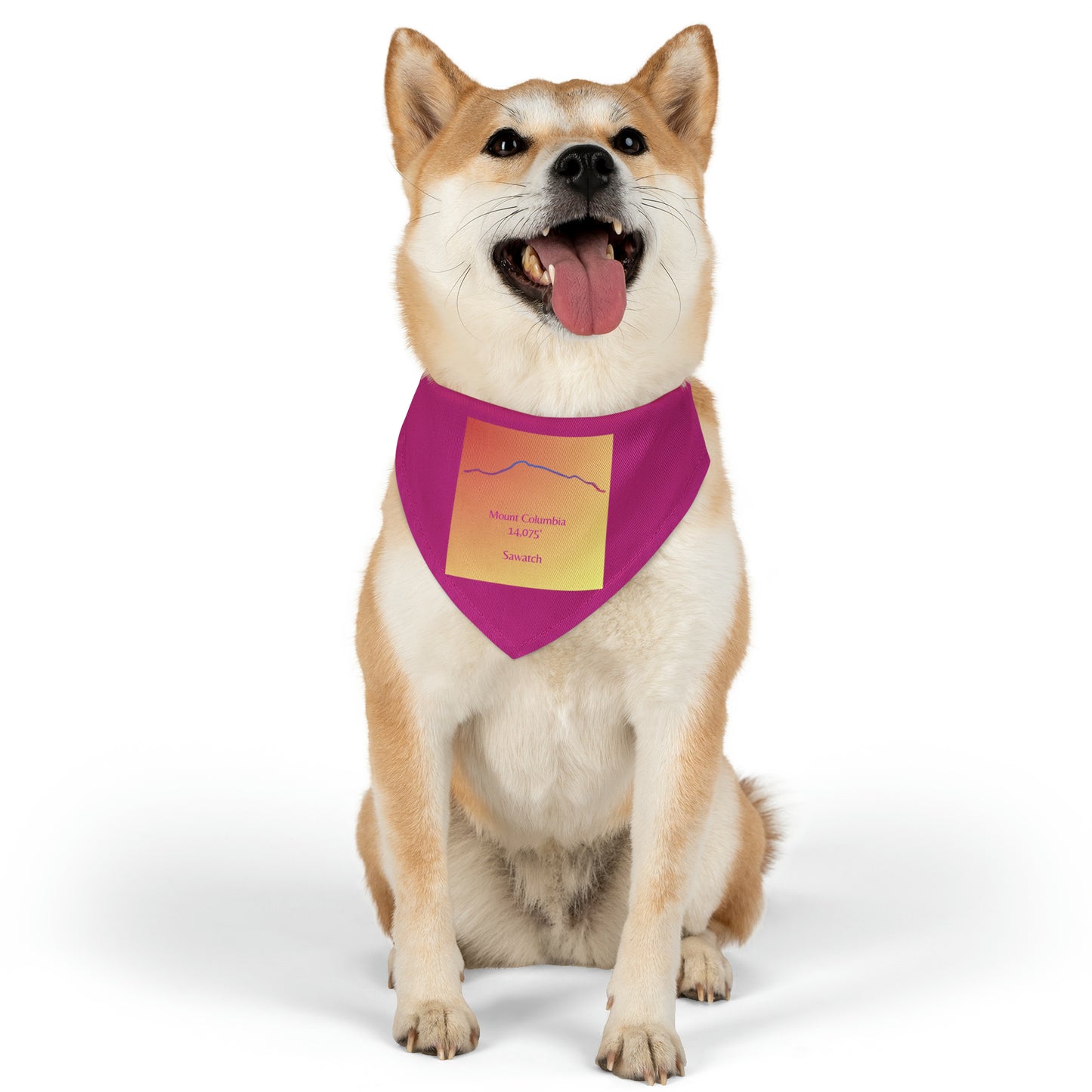 Mount Columbia 14er Pet Bandana Collar