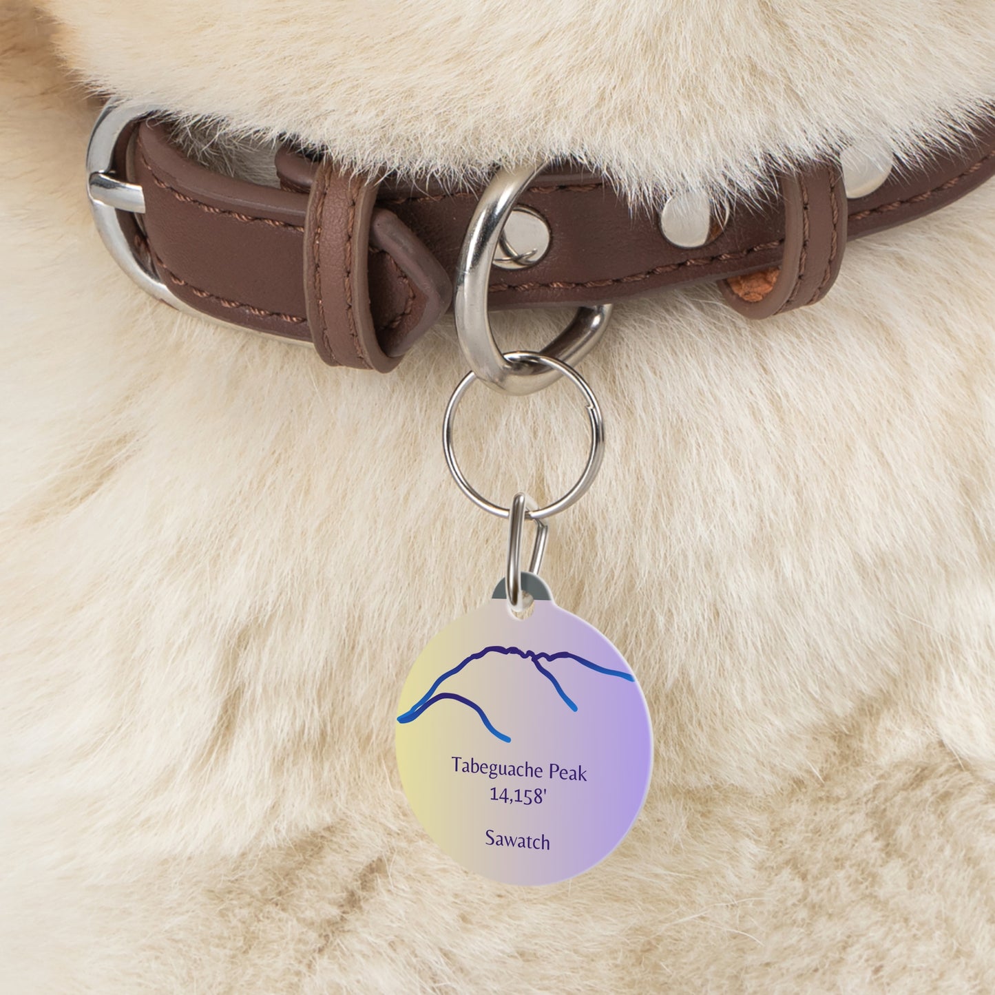Tabeguache Peak Pet Tag