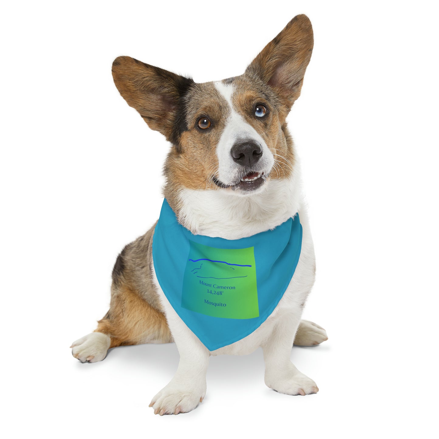 Mount Cameron 14er Pet Bandana Collar
