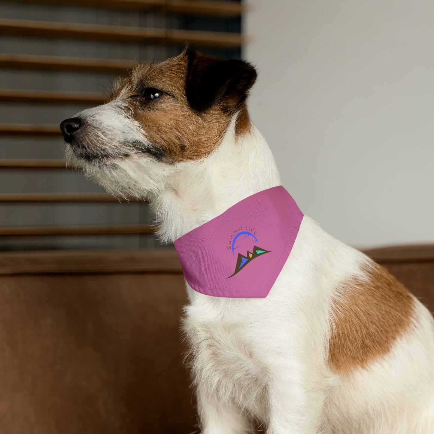 Summit Life Pet Bandana Collar - Pink