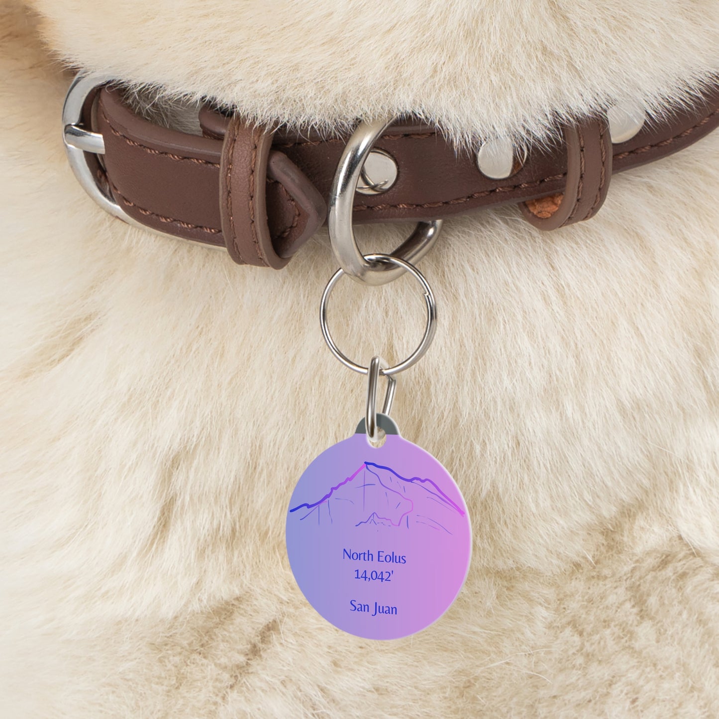 North Eolus Peak Pet Tag