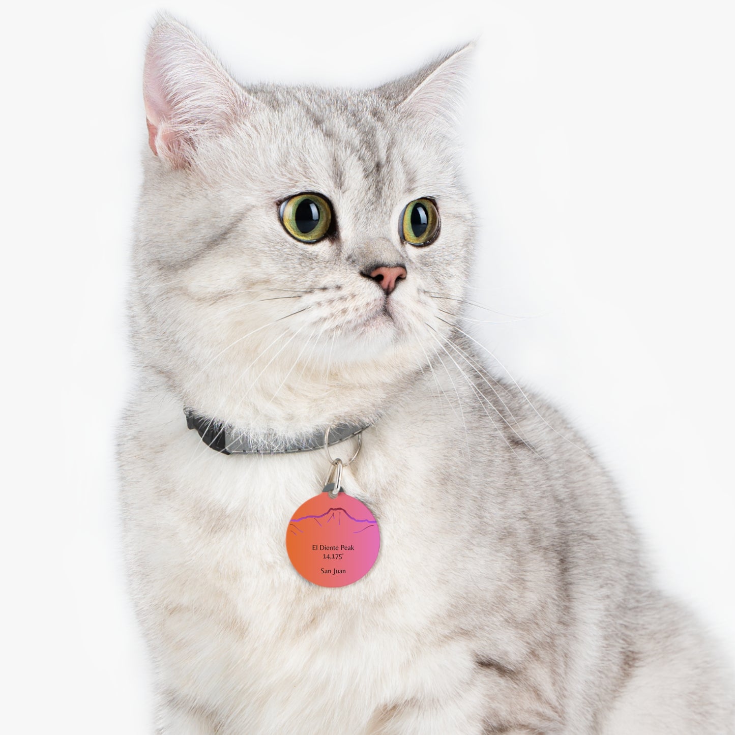 El Diente Peak Pet Tag