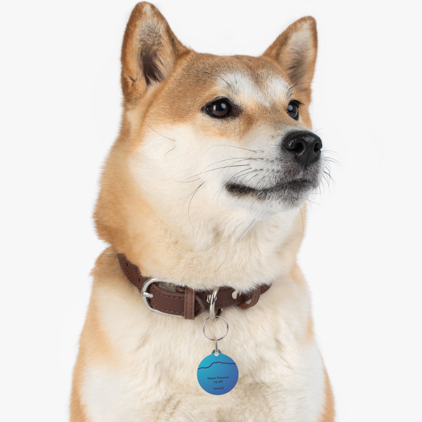 Mount Princeton Pet Tag