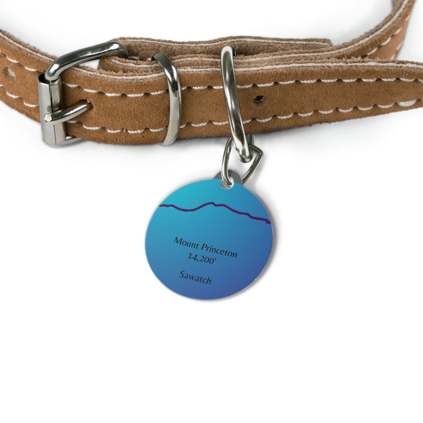 Mount Princeton Pet Tag