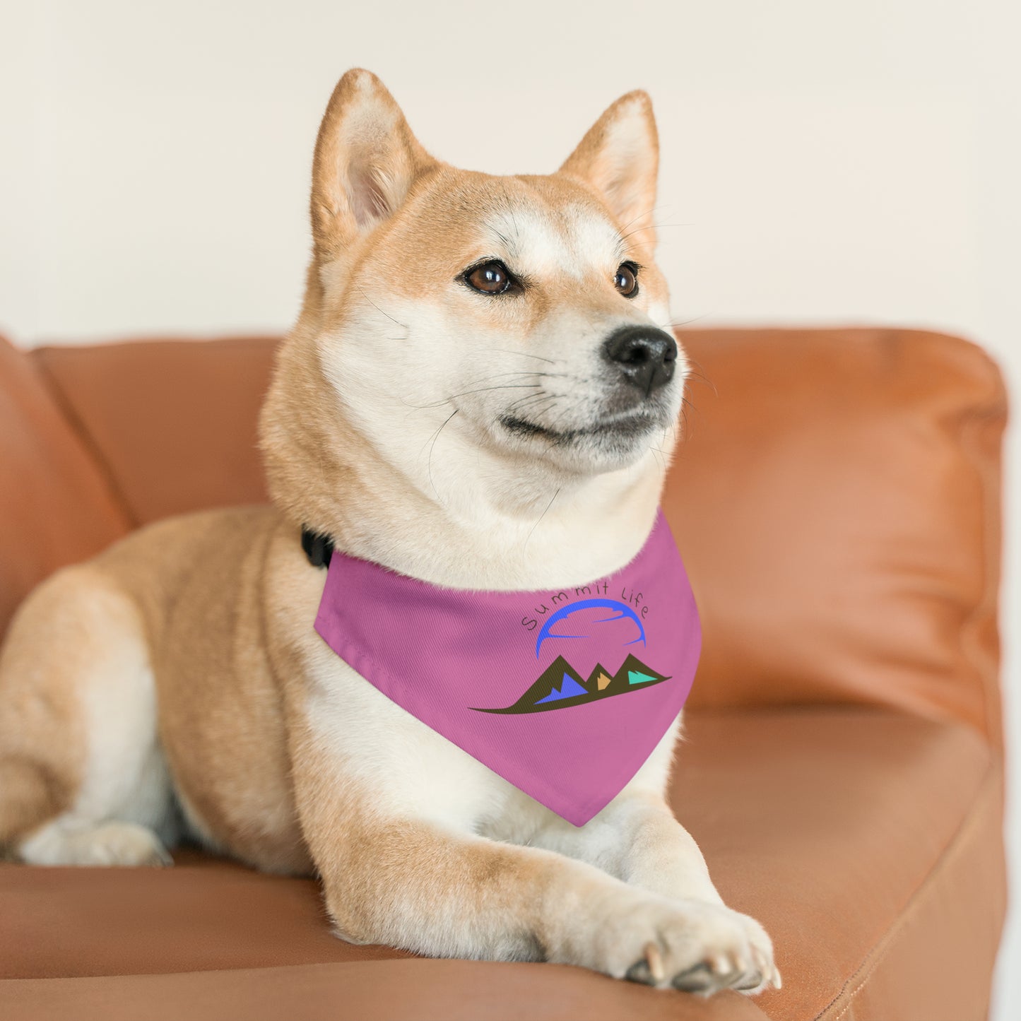 Summit Life Pet Bandana Collar - Pink