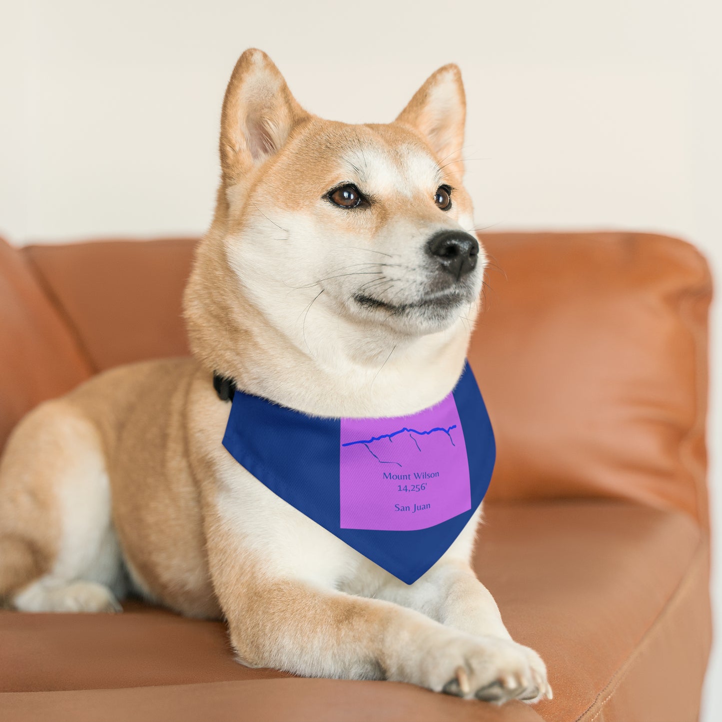 Mount Wilson 14er Pet Bandana Collar