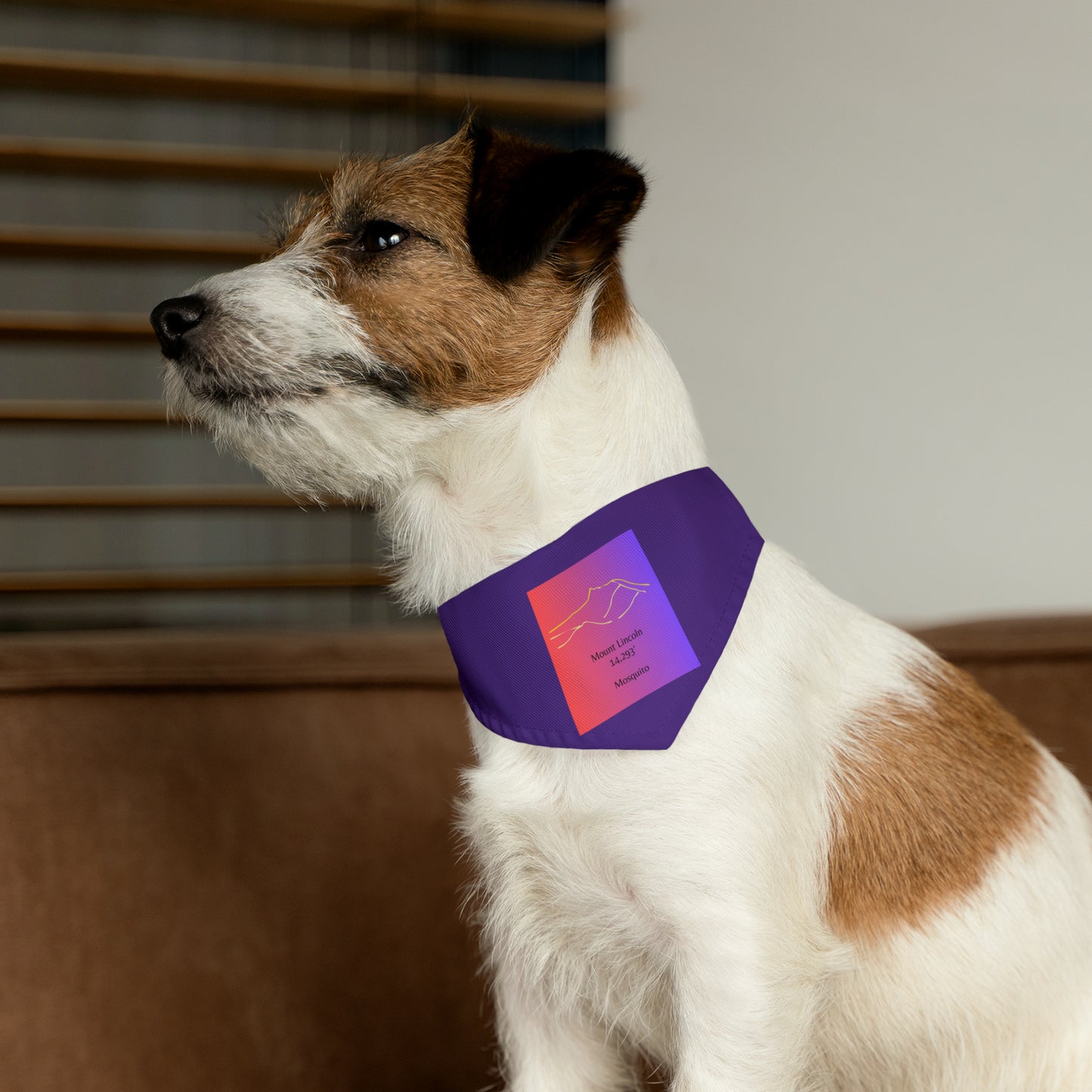 Mount Lincoln 14er Pet Bandana Collar