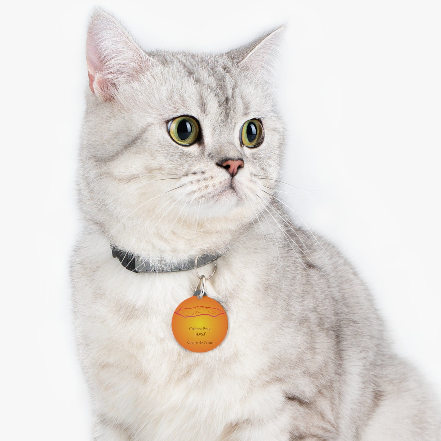 Culebra Peak Pet Tag