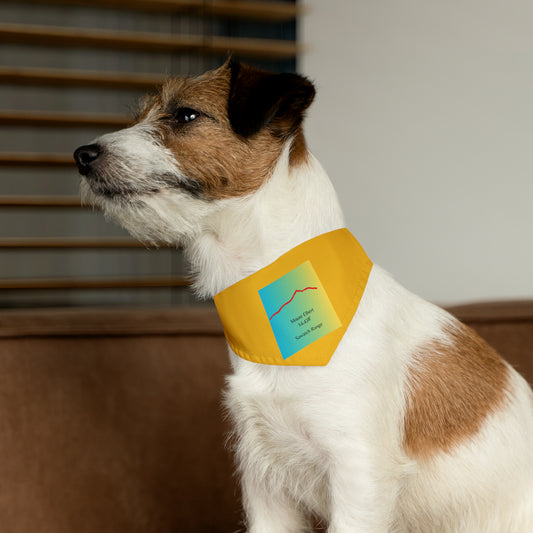 Mount Elbert 14er Pet Bandana Collar