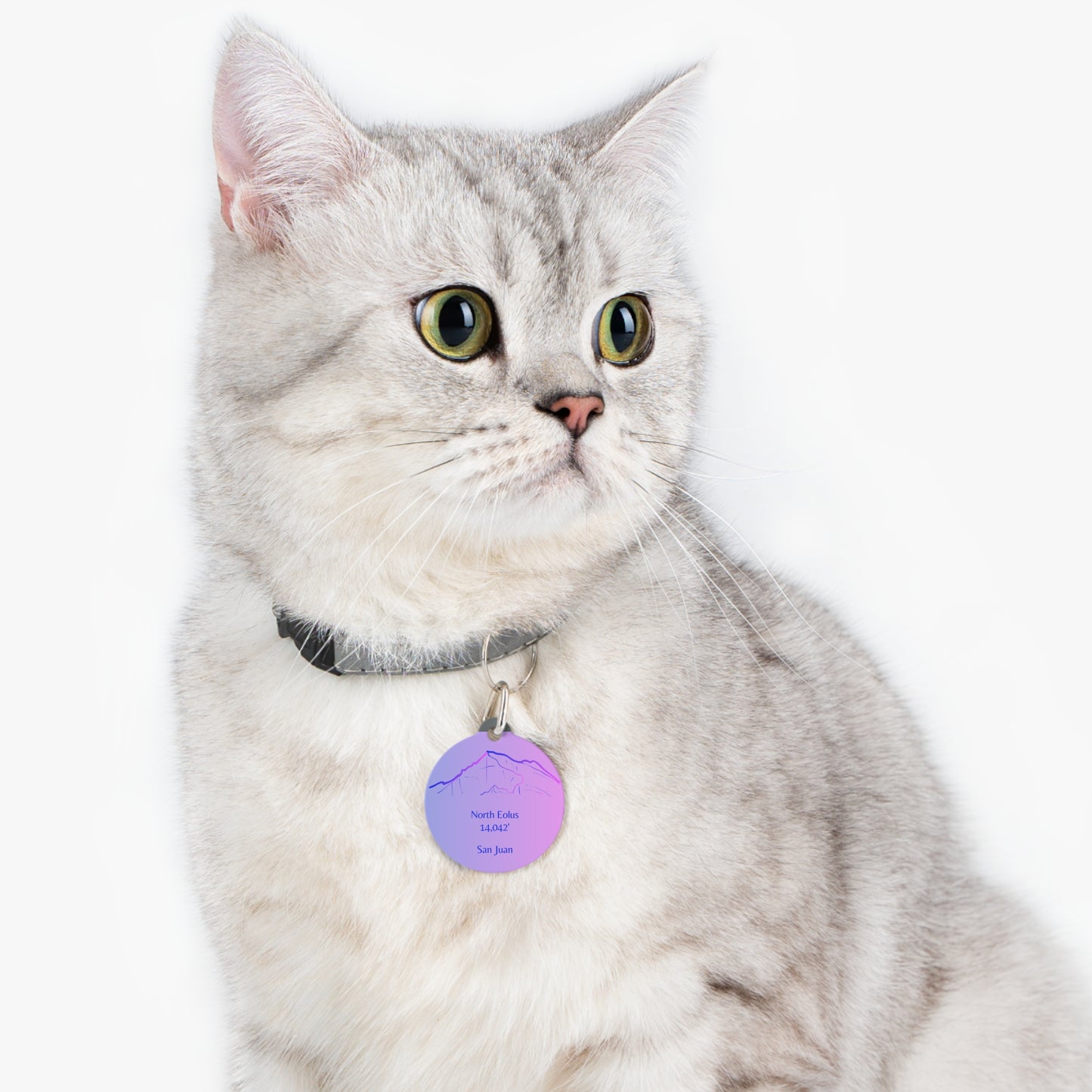 North Eolus Peak Pet Tag