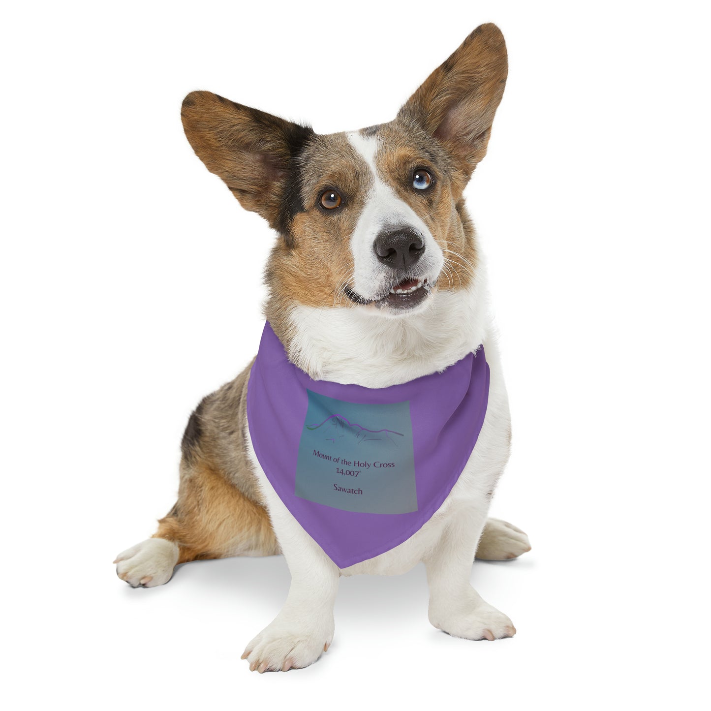 Mount of the Holy Cross 14er Pet Bandana Collar