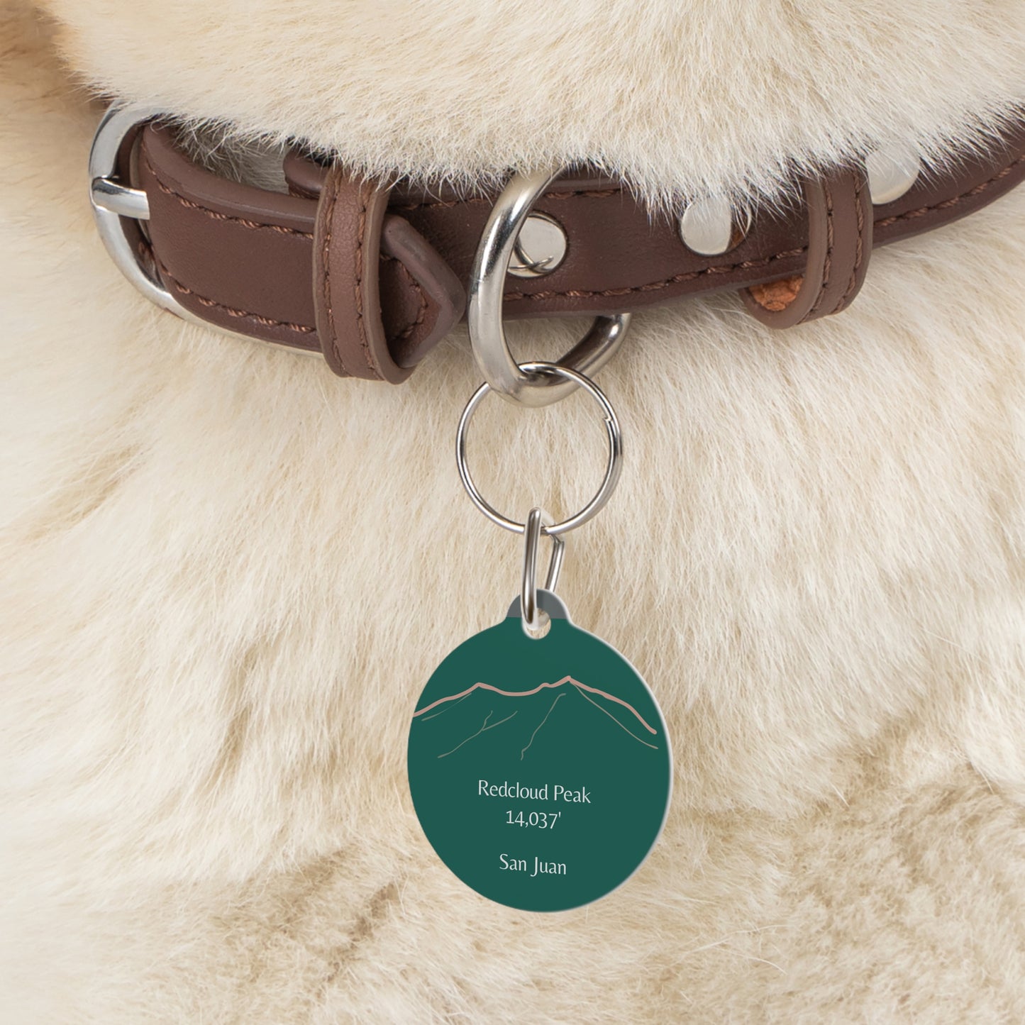 Redcloud Peak 14er Pet Tag