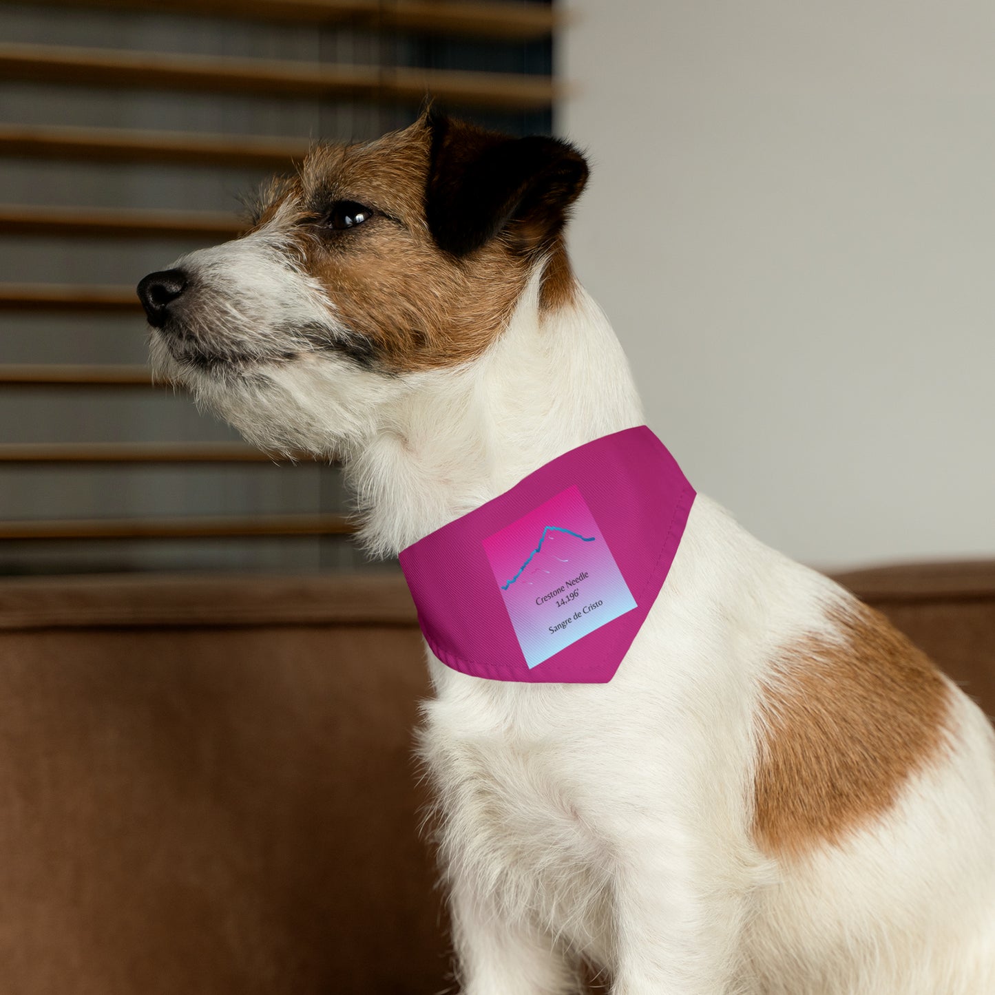 Crestone Needle 14er Dog Bandana 6