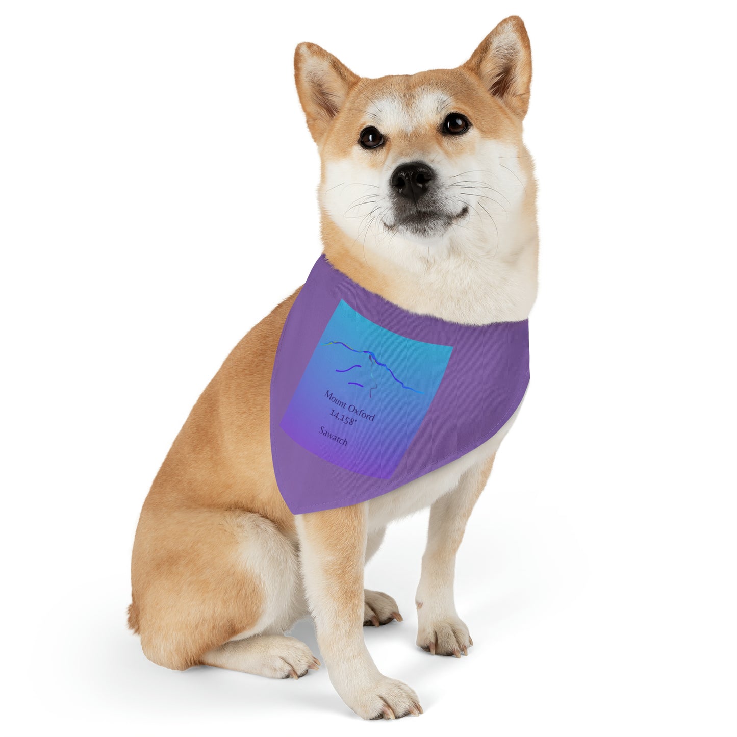 Mount Oxford 14er Pet Bandana Collar