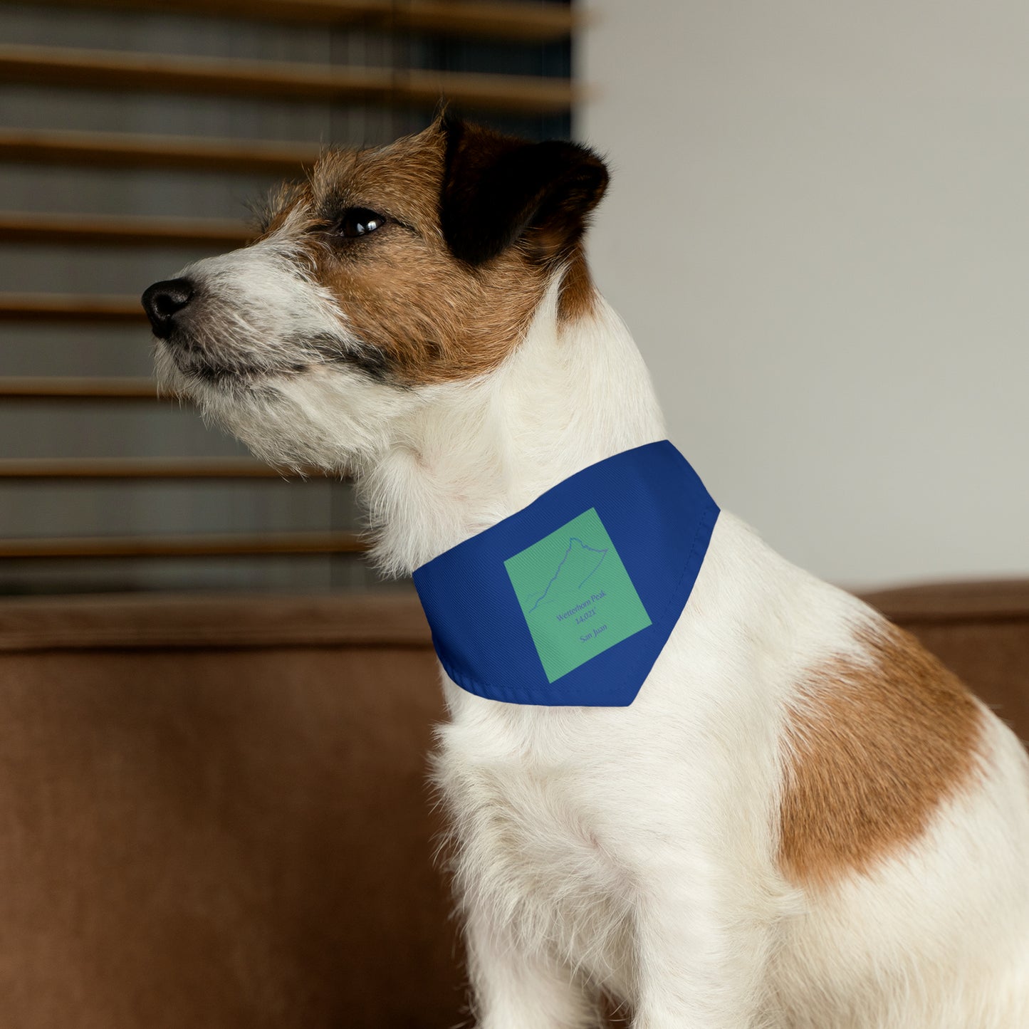 Wetterhorn Peak 14er Pet Bandana Collar