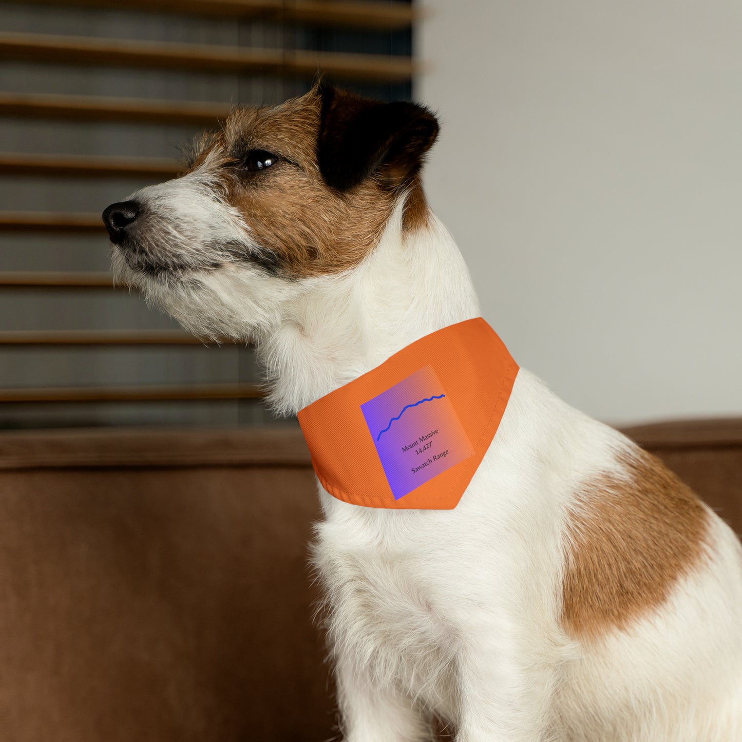 Mount Massive 14er Pet Bandana Collar