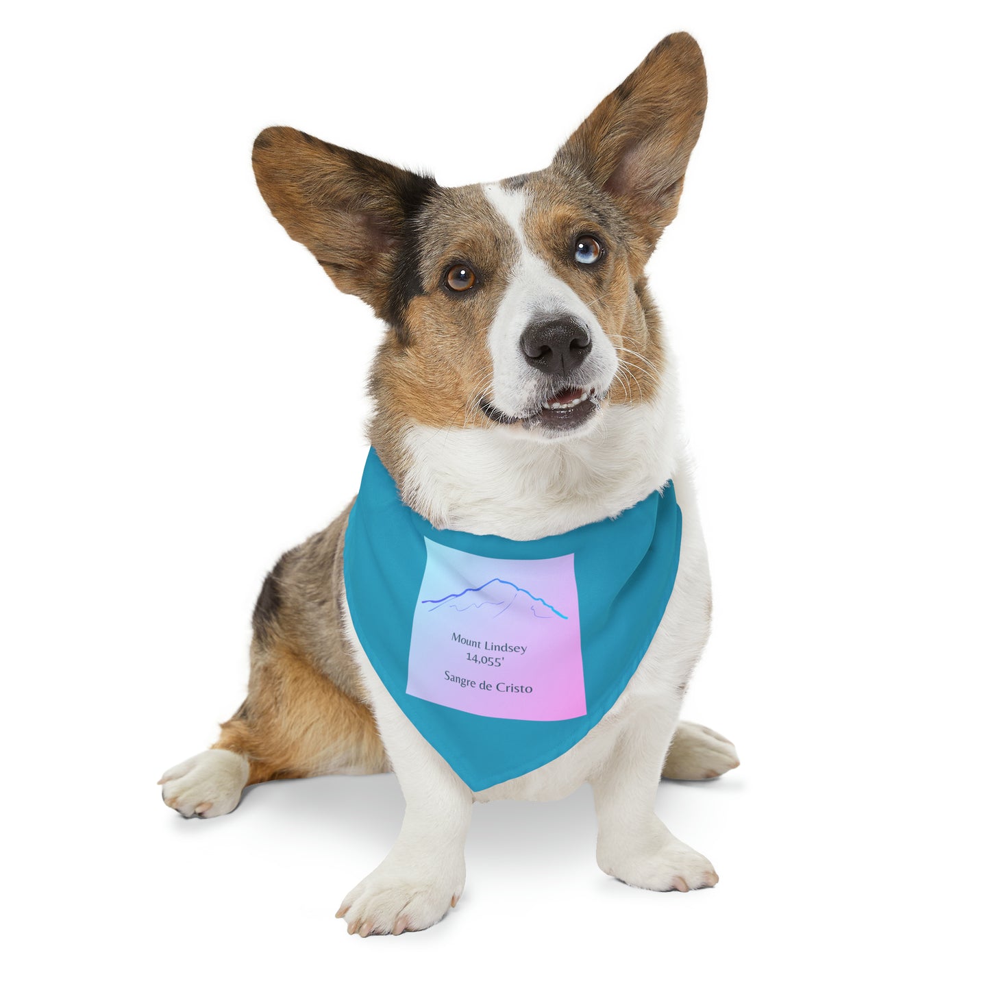 Mount Lindsey 14er Pet Bandana Collar