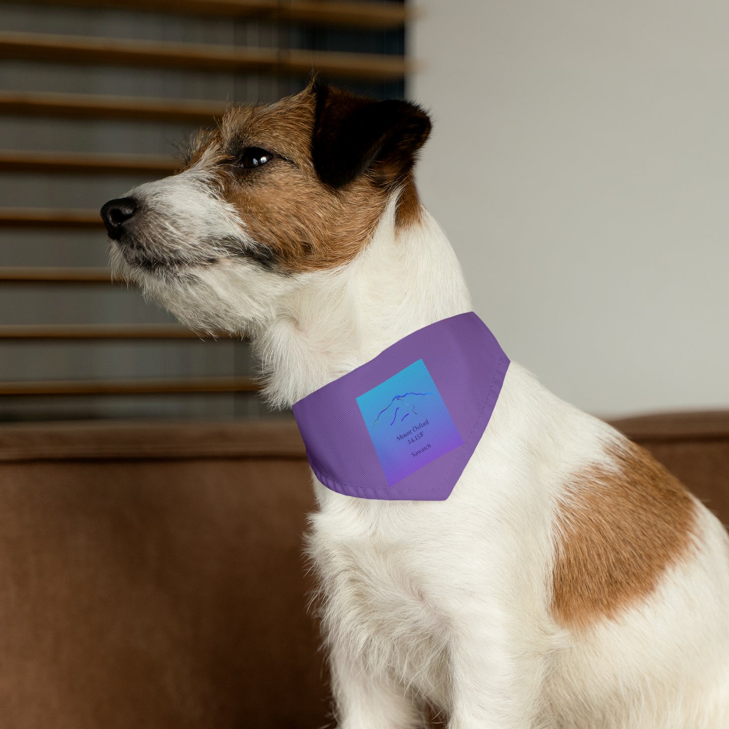 Mount Oxford 14er Pet Bandana Collar