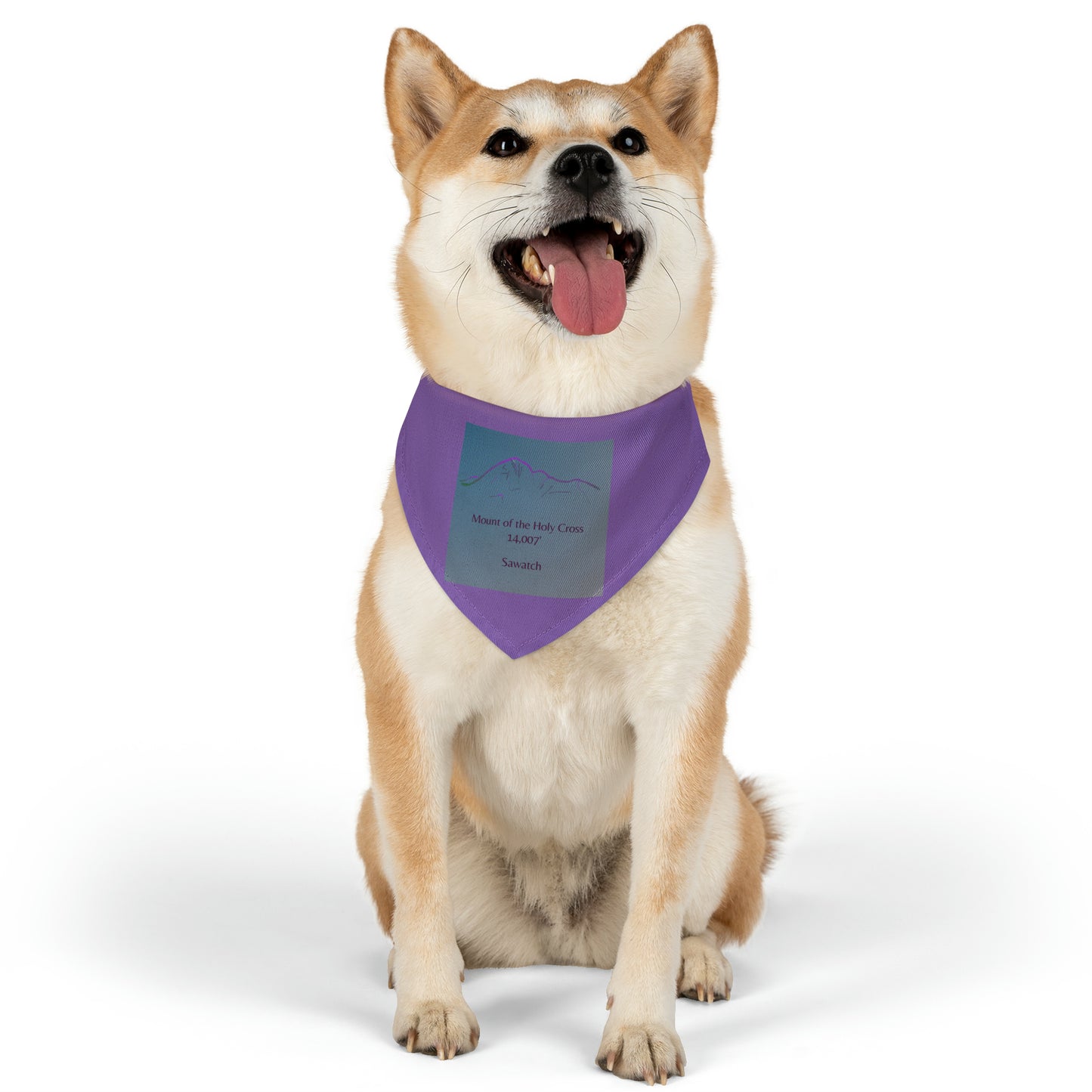 Mount of the Holy Cross 14er Pet Bandana Collar