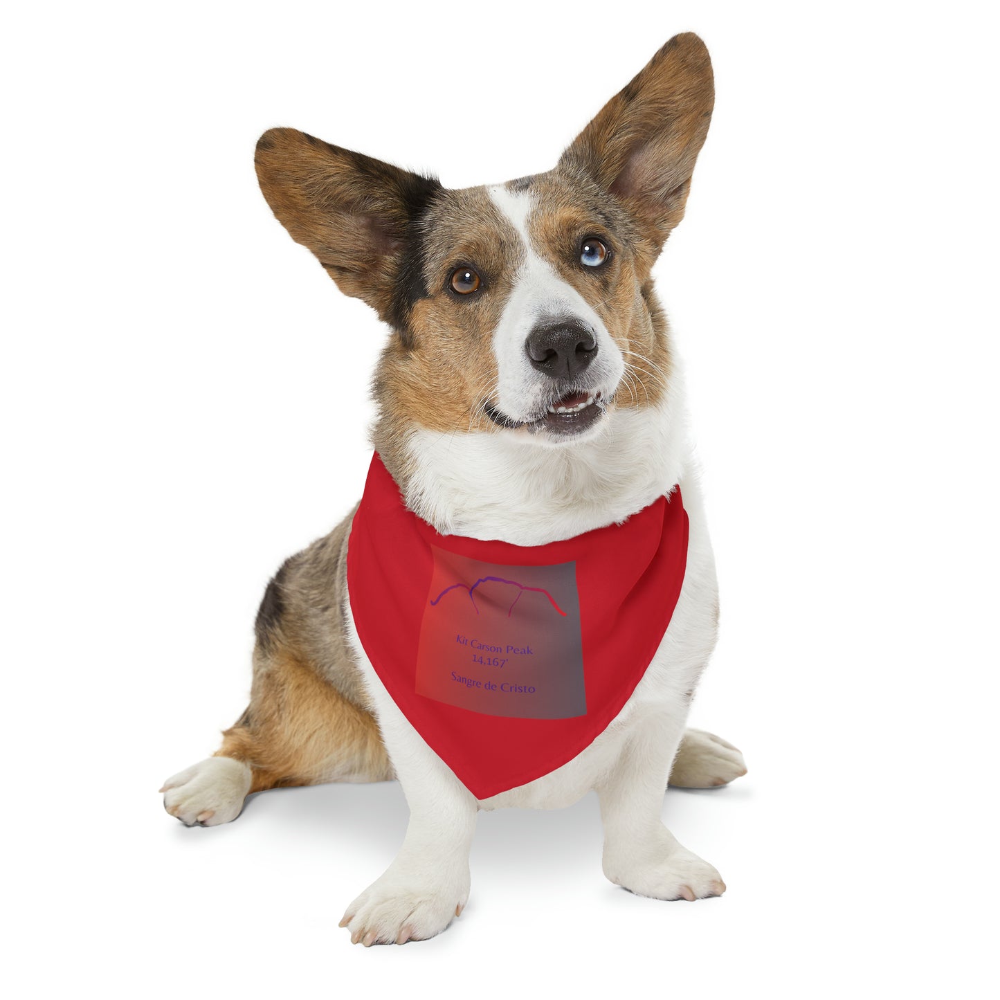 Kit Carson Peak 14er Pet Bandana Collar