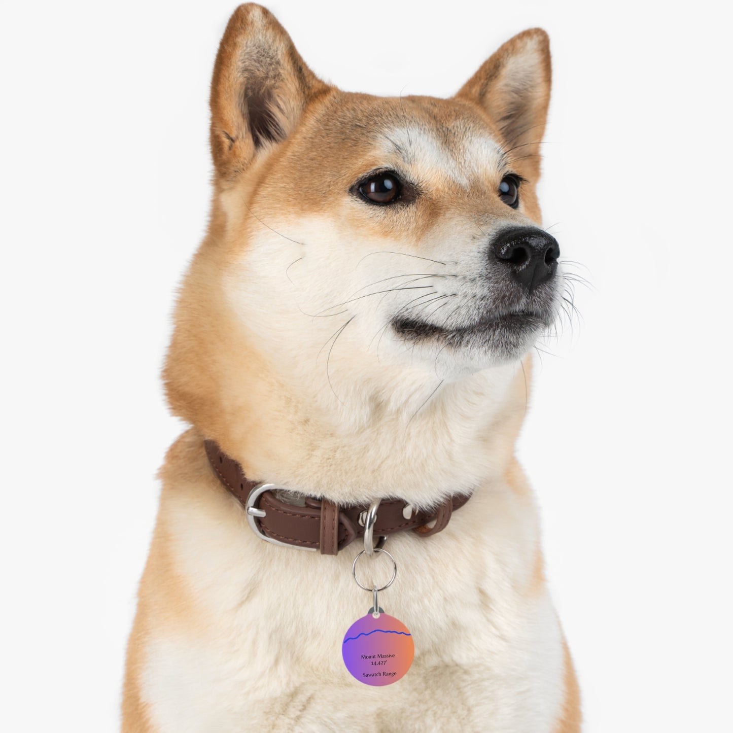 Mount Massive Pet Tag