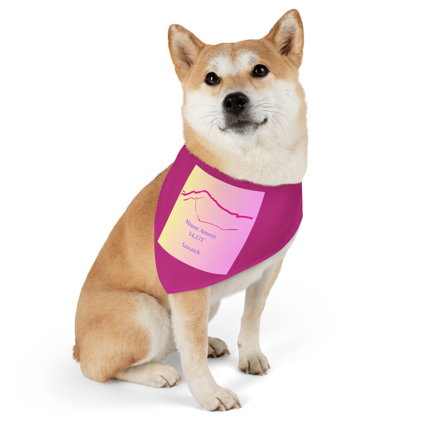 Mount Antero 14er Pet Bandana Collar