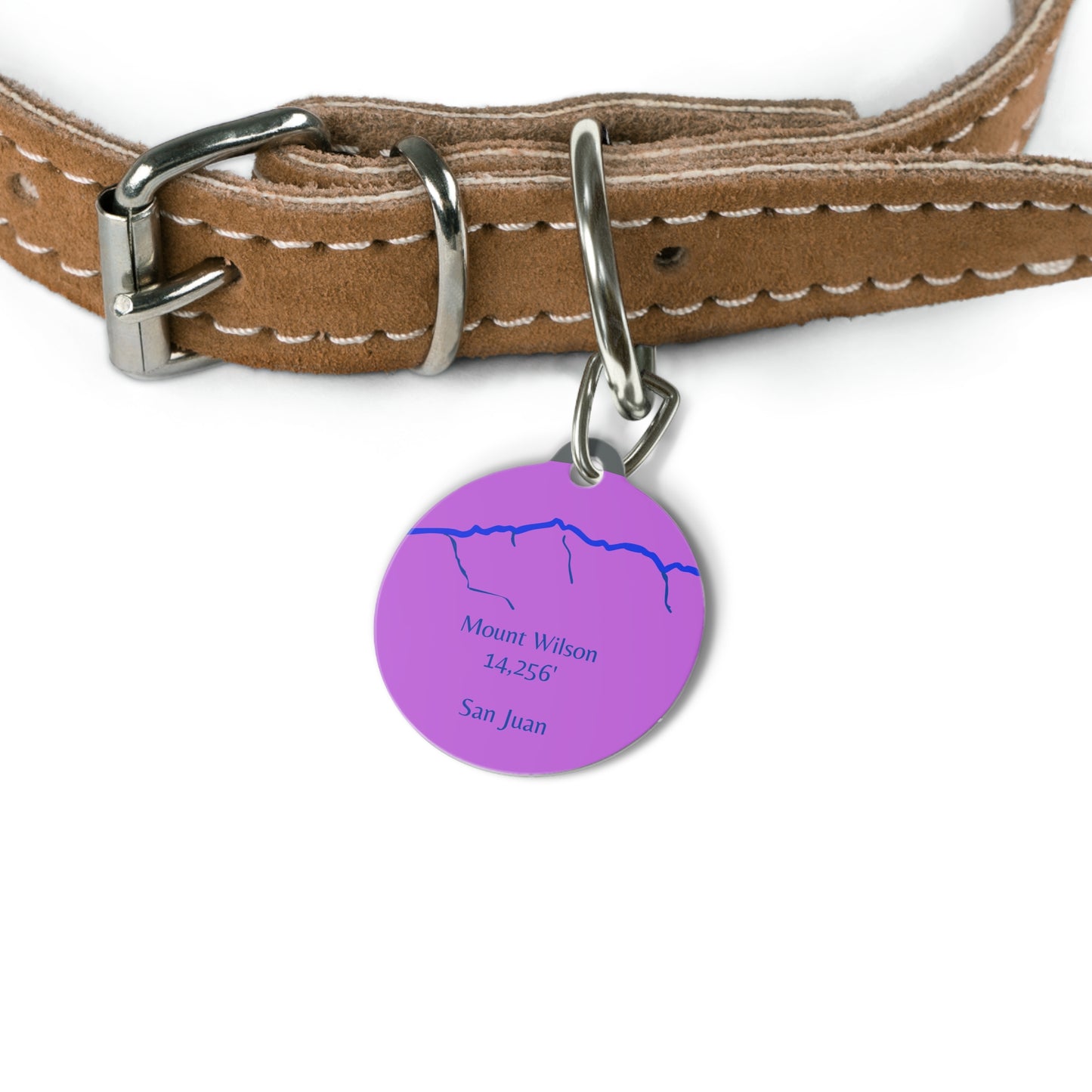 Mount Wilson Pet Tag