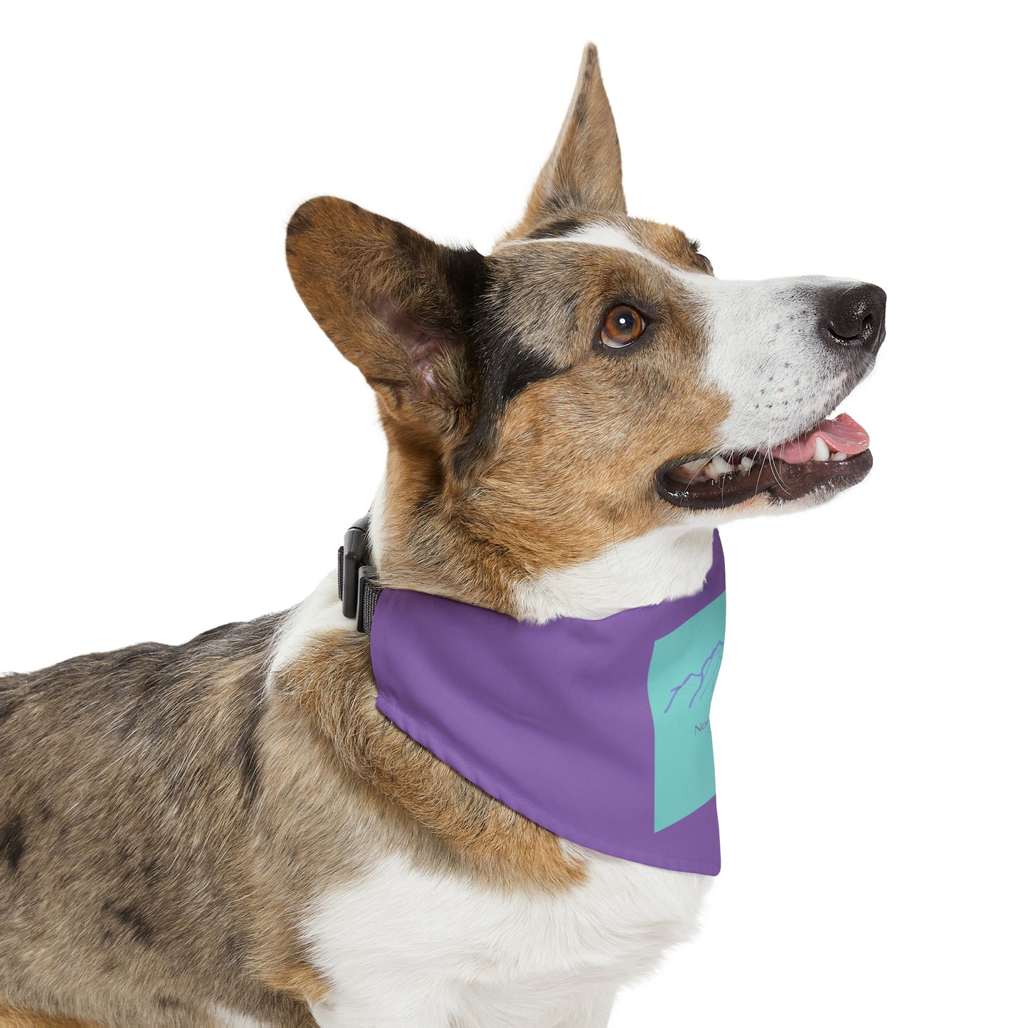 North Maroon Peak 14er Pet Bandana Collar
